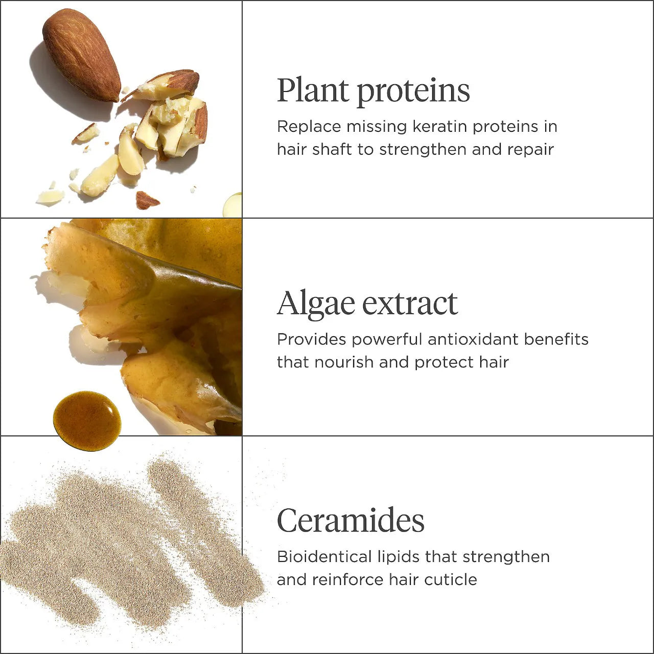 briogeo-don-t-despair-repair-™-hair-repair-remedies-gift-set - Medaid International