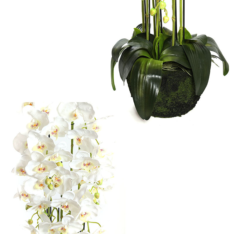 115 CM, Artificial Phalaenopsis Orchid Plant With Natural Base for Home Décor, Wedding Event, Party, Restaurant, Indoor, Outdoor - Medaid - Lebanon