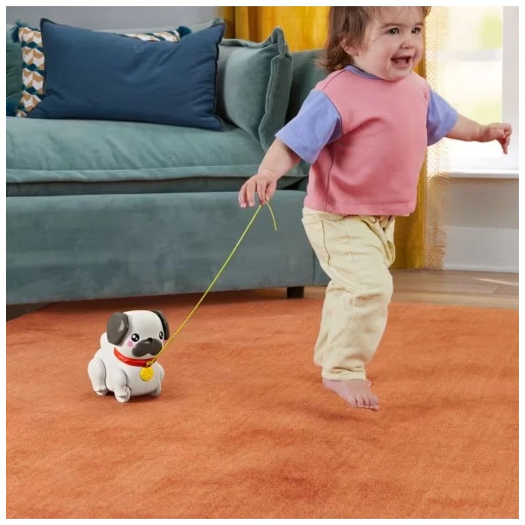 Pets Walk The Pup Pug - Medaid International