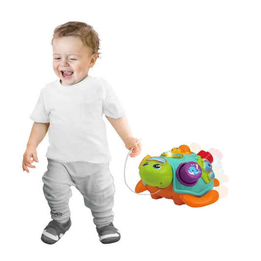 Pull Along Sort 'N Learn Turtle - Medaid International