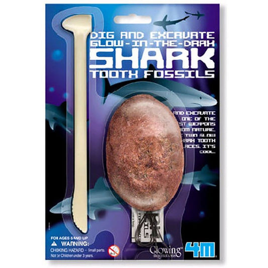 Dig Glow Shark Tooth - Medaid International