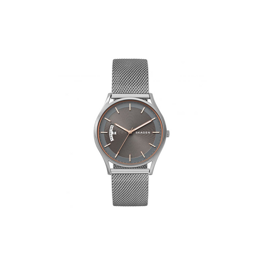 Skagen Holst Steel Mesh Day Date Watch - Medaid International