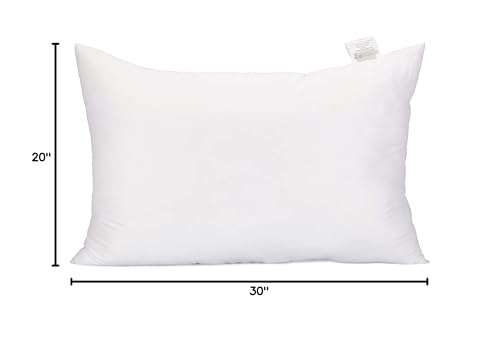 Acanva Fluffy Pillow Insert for Bed Sleeping, Decorative Stuffer Cushion Sham Filler, Queen 20x30 (Pack of 1), White - Medaid International
