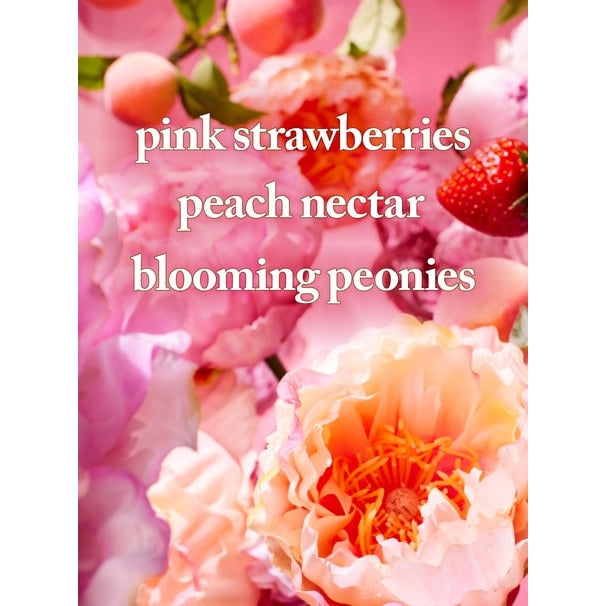 Gingham Gorgeous Fine Fragrance Mist - Medaid International