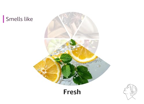 Sapil Solid - Eau De Toilette and Deodorant Spray For Men - Evokes Power and Sensuality - Opens with Fresh and Citrus Notes - Beautiful Giftset Box - Perfect for Gift Giving Occasion- 2 Pc - Medaid International