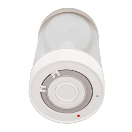 ZJchao - Electric Vacuum Canister with Glass Seal, Built-in Battery, 950ml Capacity