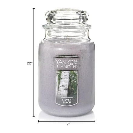 Yankee Candle Silver Birch Scented, Classic 22oz Large Jar Single Wick Aromatherapy Candle, Over 110 Hours of Burn Time, Apothecary Jar Fall Candle, Autumn Candle Scented for Home - Medaid International