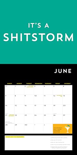 A F*cking 2026 Wall Calendar: Get Your Sh*t Together This Year (Funny Monthly Calendar with Stickers, White Elephant Gag Gift for Adults) (Calendars & Gifts to Swear By) - Medaid International