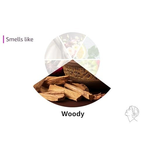 Sapil Disclosure Perfume for Men - Long-lasting Dubai Cologne 3.4 Oz (100 ml) - Woody Spicy Arabic Fragrance for Everyday Wear - Enticing Men's Fragrance from Dubai - Medaid International