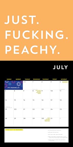 A F*cking 2026 Wall Calendar: Get Your Sh*t Together This Year (Funny Monthly Calendar with Stickers, White Elephant Gag Gift for Adults) (Calendars & Gifts to Swear By) - Medaid International