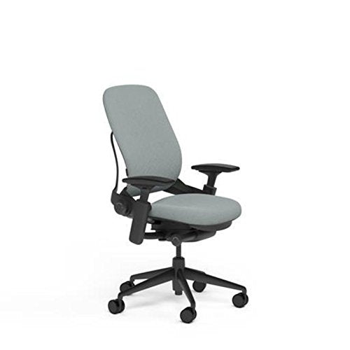 Steelcase Leap Plus Desk Chair in Buzz2 Alpine Fabric - 500 lb Weight Capacity - 4-Way Highly Adjustable Arms - Black Frame and Base - Soft Dual Wheel Hard Floor Casters - Medaid International