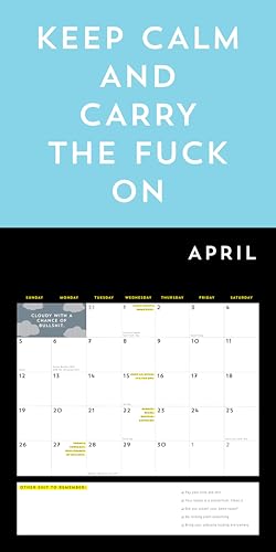 A F*cking 2026 Wall Calendar: Get Your Sh*t Together This Year (Funny Monthly Calendar with Stickers, White Elephant Gag Gift for Adults) (Calendars & Gifts to Swear By) - Medaid International