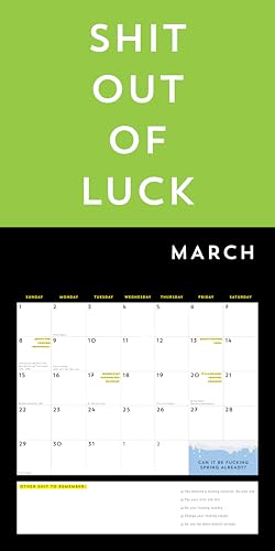 A F*cking 2026 Wall Calendar: Get Your Sh*t Together This Year (Funny Monthly Calendar with Stickers, White Elephant Gag Gift for Adults) (Calendars & Gifts to Swear By) - Medaid International