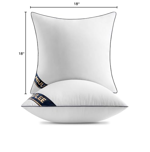 MIULEE 18x18 Pillow Inserts Set of 2 Throw Pillows 18 Inch Premium Down Alternative Pillow Inserts Decorative Pillow Stuffer for Sofa, Couch (18x18 inch, Set of 2) - Medaid International