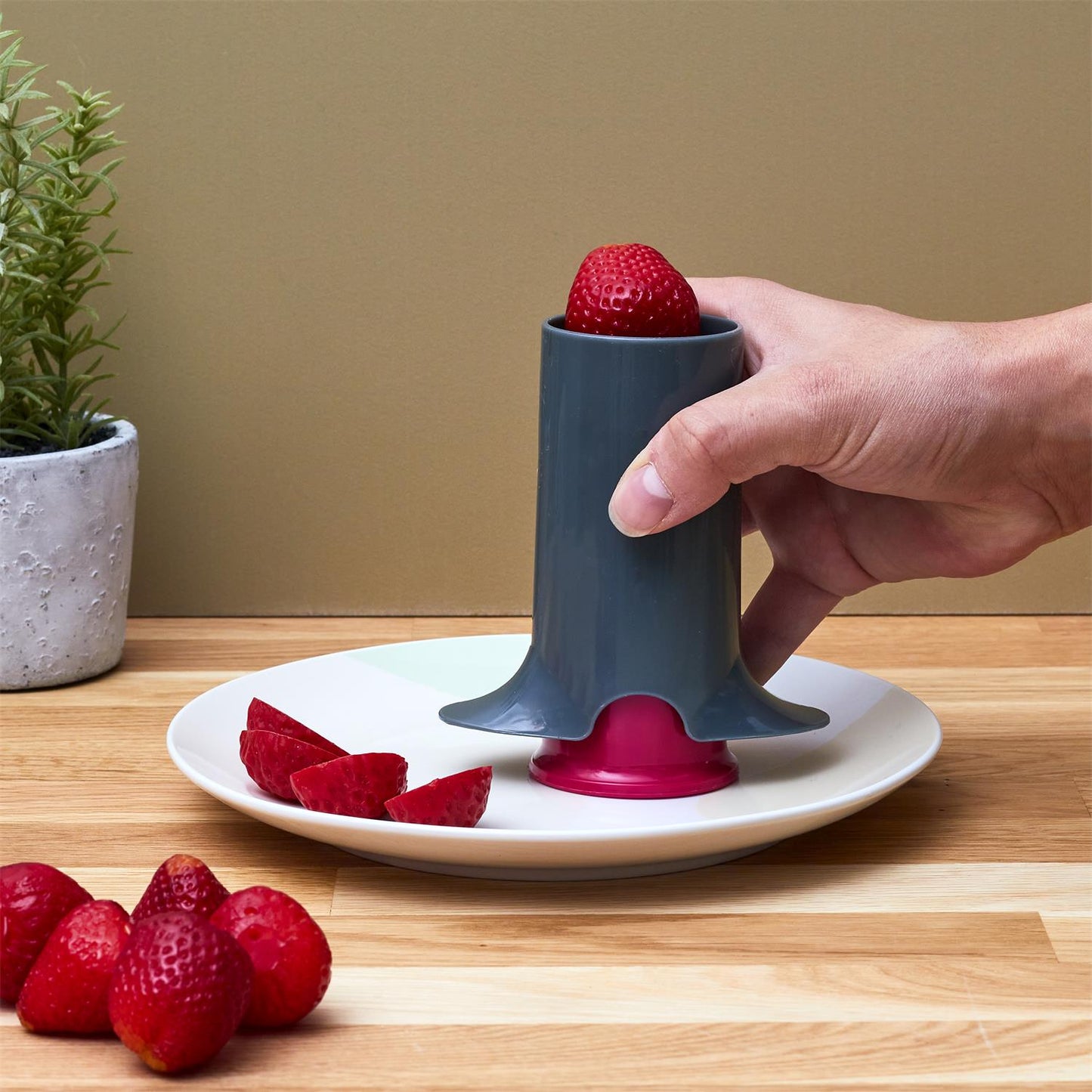 VEGETABLE & FRUIT SLICER