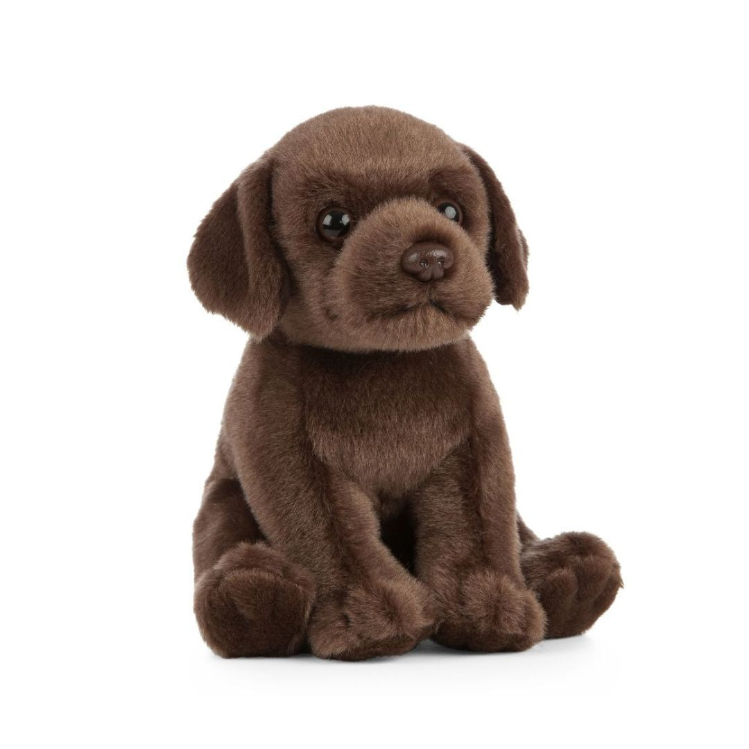 Golden Lab Puppy with Sound 22cm - Medaid International