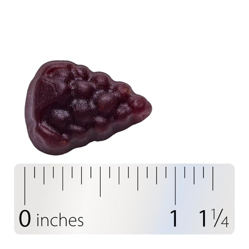 Nature’s Way Sambucus Elderberry Immune Support Gummies for Kids & Adults* with Black Elderberry Extract, Vitamin C, Vitamin D3, and Zinc, 60 Gummies (Packaging May Vary) - Medaid International