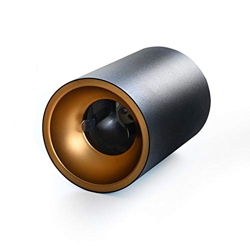 Braytron - BETA-SR Ceiling Light, 100mm Surface-Mounted Spotlight, GU10 LED