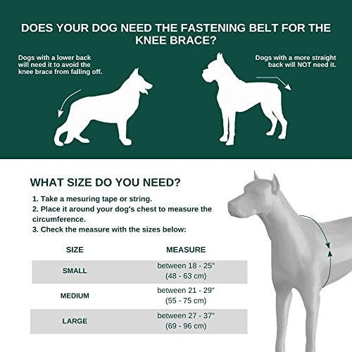 Ortocanis - Original Knee Brace for Dogs, ACL Support, Arthritis Relief, Size XL Right Leg