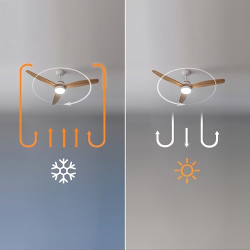 Cecotec - Ceiling Fan with Light, 40W DC Motor, Remote Control, Timer