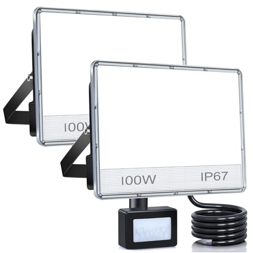 ANNIFUNLY - 2 Pack 100W LED Outdoor Floodlight With Motion Sensor, 10000LM