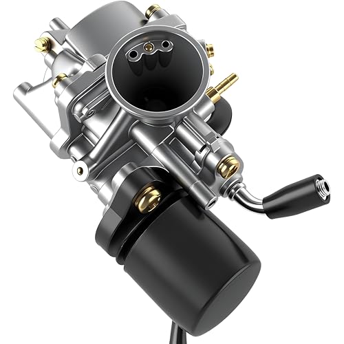 Wilktop - 18 mm E-Choke Carburetor for CPI, 2-Stroke Engines, Compatible with Hussar & Minarelli