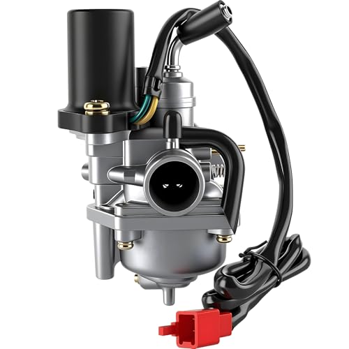 Wilktop - 18 mm E-Choke Carburetor for CPI, 2-Stroke Engines, Compatible with Hussar & Minarelli