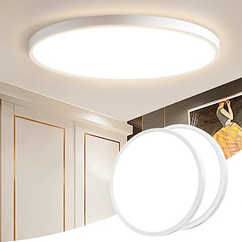 Slochi - Set of 2 LED Ceiling Lights, 24W, 2025LM, 4000K Natural White