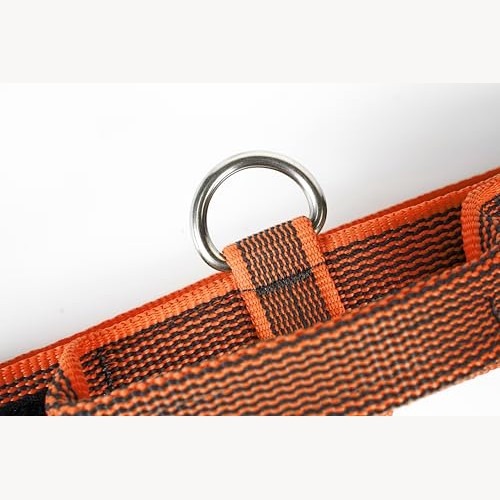 Julius K-9 - Adjustable Dog Harness, 40mm & 50mm Widths, Blue Color