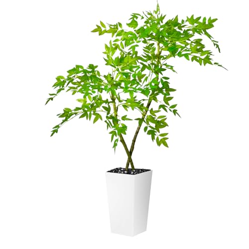 5ft Artificial Bamboo Tree, Fake Nandina Tree, Faux Nantian Bamboo Bonsai with White Planter, for Home Office Mall Exhibition Hall Living Room Garden Balcony Entryway Dining Room - Medaid International