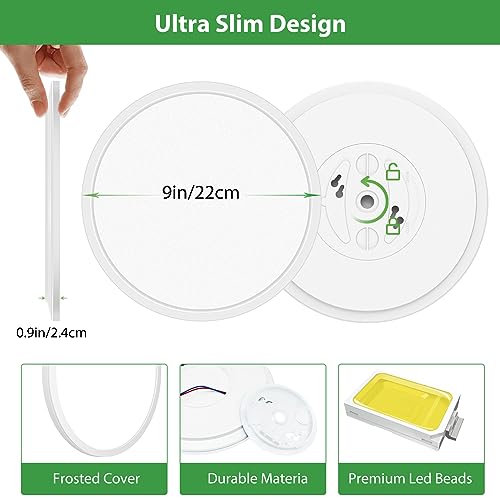 Hepside - Versatile LED Ceiling Light with 3000K/4500K/6000K Options