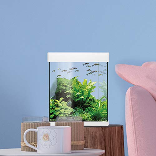 Ica - 10L Nano Aqua LED Crystal Aquarium Set with High-Quality Design