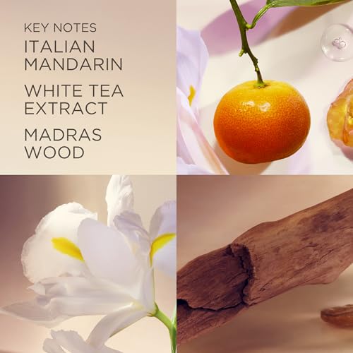 Elizabeth Arden White Tea Eau de Toilette Spray, Perfume for Women with Notes of Clary Sage, White Iris, Musk, Woody & Floral, 1 fl oz - Medaid International