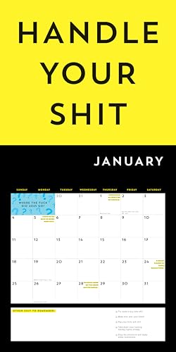 A F*cking 2026 Wall Calendar: Get Your Sh*t Together This Year (Funny Monthly Calendar with Stickers, White Elephant Gag Gift for Adults) (Calendars & Gifts to Swear By) - Medaid International