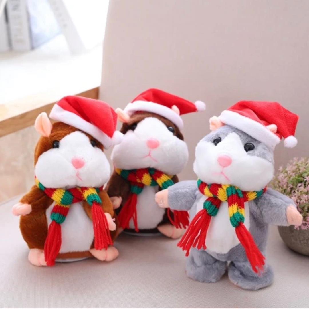 Talking Hamster - Medaid International