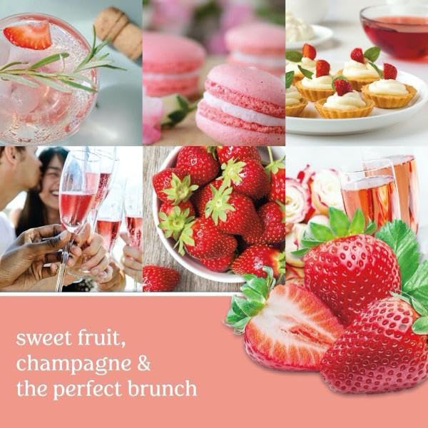 Yankee Candle Small Tumbler Scented Single Wick Jar Candle, White Strawberry Bellini, Over 20 Hours of Burn Time, 4.3 Ounce (Pack of 2) - Medaid International