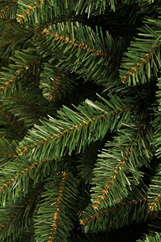 Black Box Trees 384356, PVC Artificial Christmas Tree – Green – Danf 97 x 97 x 185 cm - Medaid International