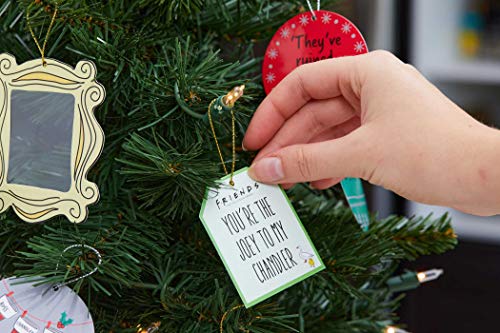 Friends: The Official Advent Calendar, Volume 1: The One With the Surprises (Friends TV Show) - Medaid International