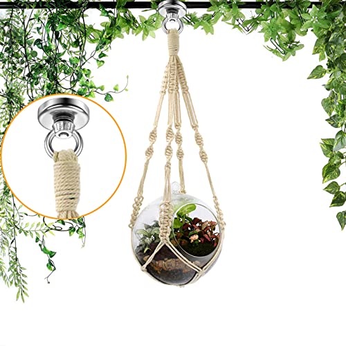 Min Ci - 12x32mm Neodymium Magnet with 45kg Pull Strength, Hook & Eye