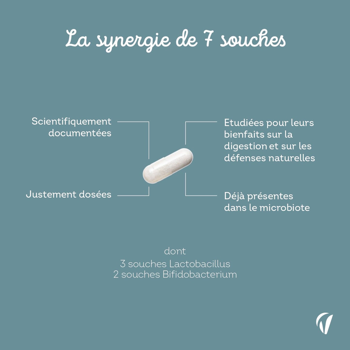 Probiotique Flore Intestinale - 7 souches dont Lactobacillus & Bifidobacterium - 28 Milliards d'UFC/jour - Transit & Microbiote Intestinal - 60 Gélules Végétales – Fabriqué en France - Vitavea - Medaid International
