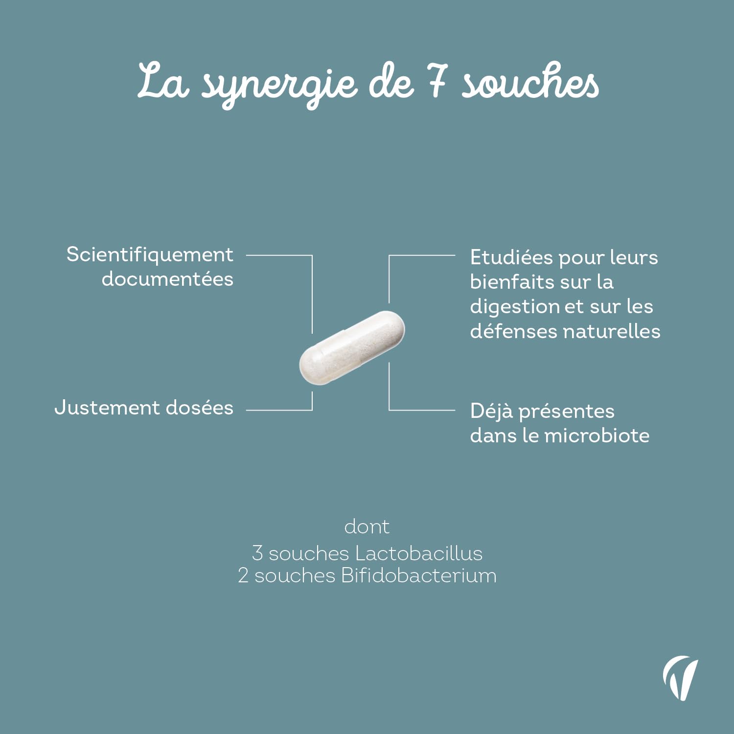 Probiotique Flore Intestinale - 7 souches dont Lactobacillus & Bifidobacterium - 28 Milliards d'UFC/jour - Transit & Microbiote Intestinal - 60 Gélules Végétales – Fabriqué en France - Vitavea - Medaid International