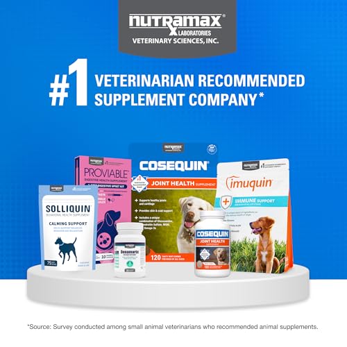 COSEQUIN Maximum Strength Joint Supplement Plus MSM & Omega-3's - With Glucosamine and Chondroitin - For Dogs of All Sizes (Soft Chews)