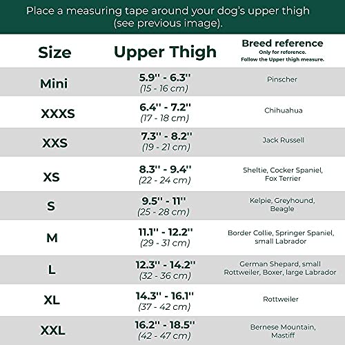 Ortocanis - Original Knee Brace for Dogs, ACL Support, Arthritis Relief, Size XL Right Leg