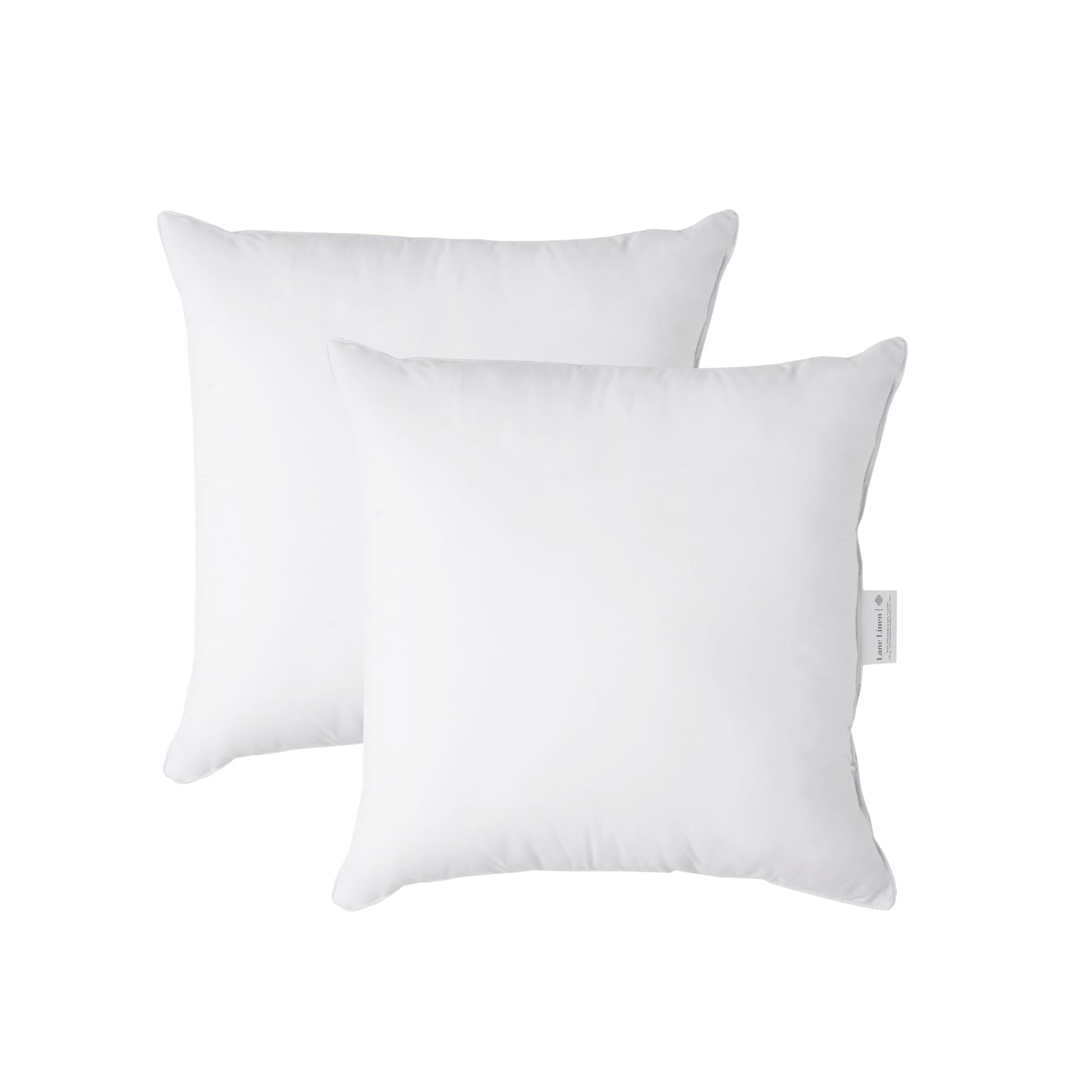 LANE LINEN 22x22 Pillow Insert - Pack of 2 White Decorative Pillow for Sofa Bed, Fluffy Inserts for Throw Pillows Covers for Bed,Euro Couch Pillows for Living Room - Medaid International