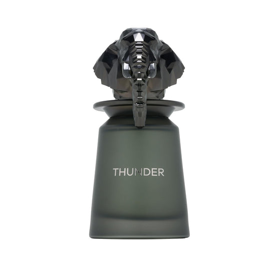 French Avenue - Thunder - Eau de Parfum - Perfume For Men, 100ml by Fragrance World - Medaid International