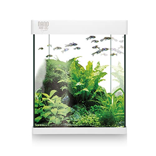 Ica - 10L Nano Aqua LED Crystal Aquarium Set with High-Quality Design