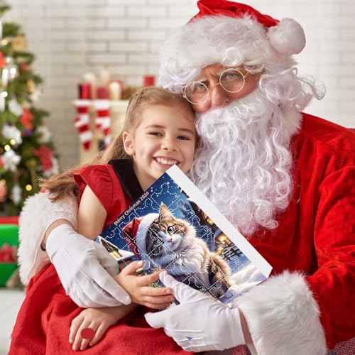 DandelYunx Cat Advent Calendar 2024 | 24-Day Christmas Countdown with Acrylic Cute Cat Ornaments | Christmas Tree Decoration for Cat Lovers - Medaid International