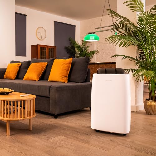 Cecotec - BigDry 10000 Expert Dehumidifier, 30L/day, WiFi Control, 6L Tank