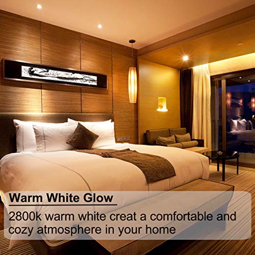 Rnyloas - GU4 Halogen 20W MR11 Bulbs, 6 Pack, Dimmable, Warm White 2800K