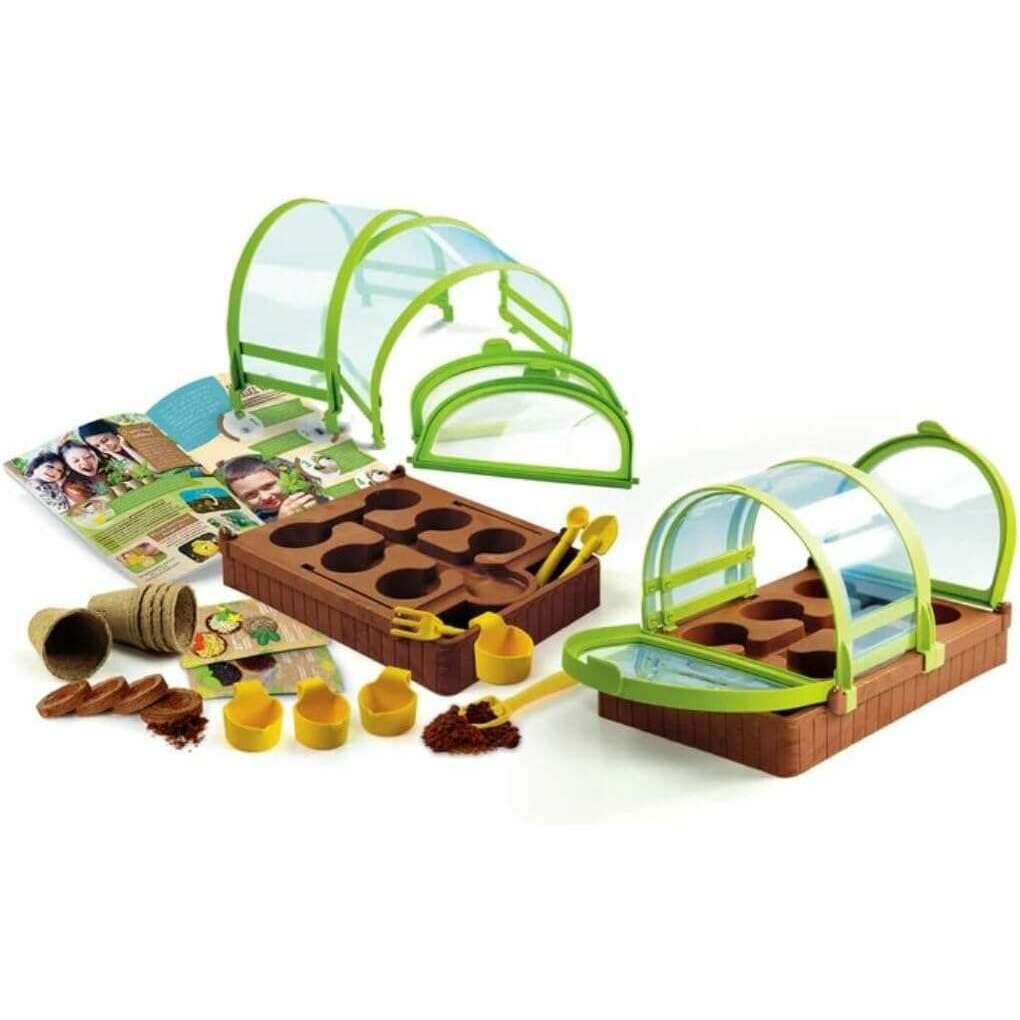 Science Greenhouse for Children- Ages 7 Years - Medaid International